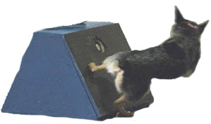Flyball